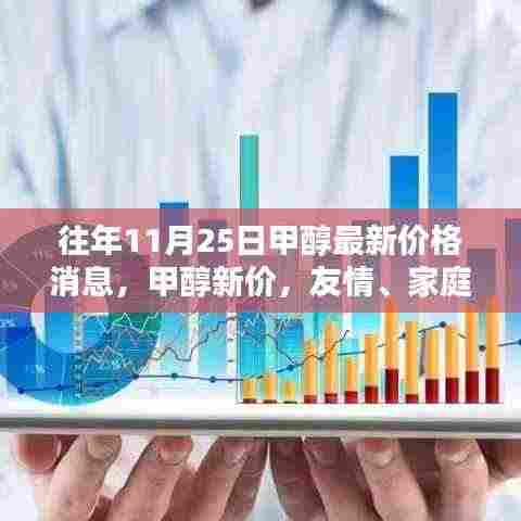 往年11月25日甲醇最新价格更新，日常奇遇中的友情、家庭与温馨