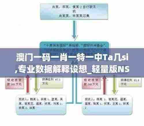 澳门一码一肖一特一中Ta几si,专业数据解释设想_轻量版NSQ9.67