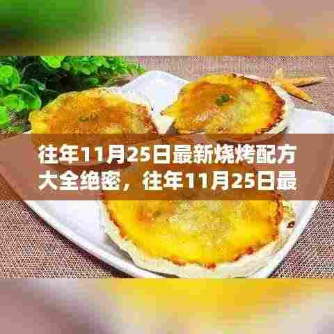往年11月25日最新烧烤配方大全揭秘，专业评测与深度介绍