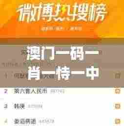 澳门一码一肖一恃一中240期,实地数据验证_知晓版JOK9.16