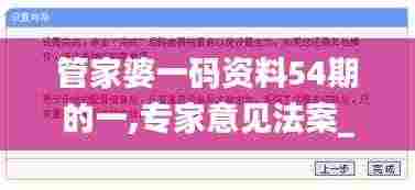 管家婆一码资料54期的一,专家意见法案_无线版ZCY9.67