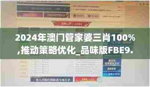 2024年澳门管家婆三肖100%,推动策略优化_品味版FBE9.95