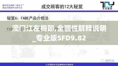 澳门江左梅郎,全面性解释说明_专业版SFD9.82
