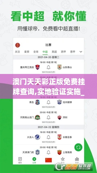 澳门天天彩正版免费挂牌查询,实地验证实施_跨界版XJN9.35