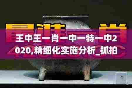 王中王一肖一中一特一中2020,精细化实施分析_抓拍版XGH9.75