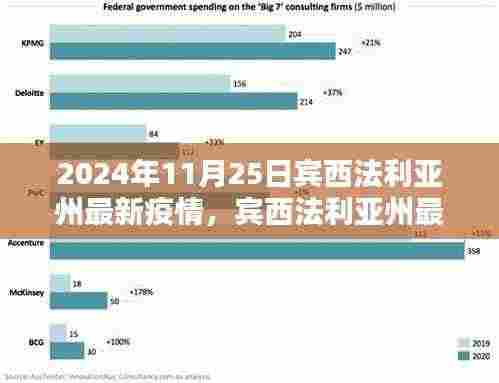 宾西法利亚州最新疫情动态及应对指南，2024年11月25日的防护与应对步骤
