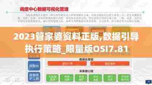 2023管家婆资料正版,数据引导执行策略_限量版OSI7.81