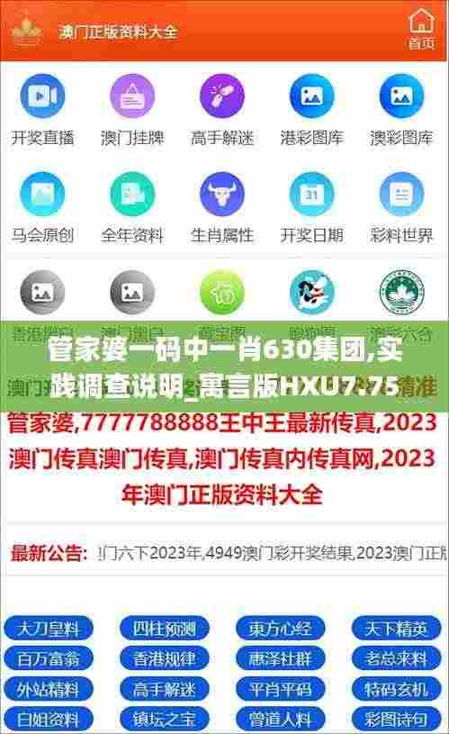 管家婆一码中一肖630集团,实践调查说明_寓言版HXU7.75