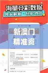 新澳门精准资料网站,新式数据解释设想_抓拍版RRL7.4