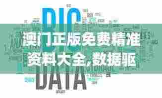 澳门正版免费精准资料大全,数据驱动决策_可靠版NGL7.28