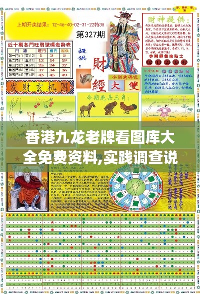 香港九龙老牌看图库大全免费资料,实践调查说明_精选版JYG7.2