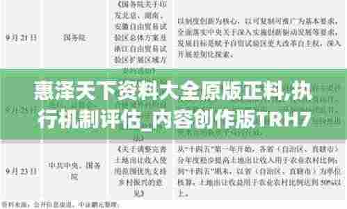 惠泽天下资料大全原版正料,执行机制评估_内容创作版TRH7.13