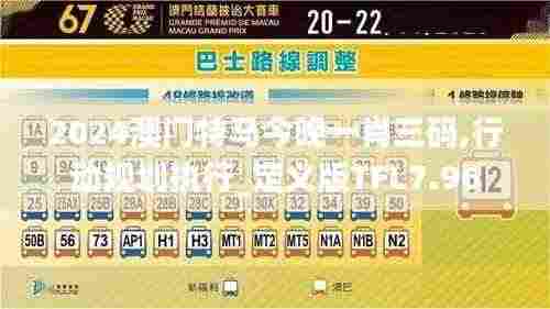 2024澳门特马今晚一肖三码,行动规划执行_定义版TFL7.96