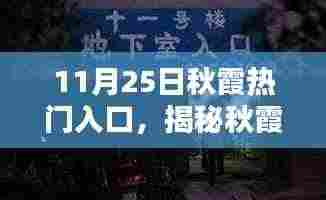 揭秘秋霞热门入口的独特魅力，探寻11月25日的秘密之旅