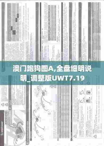 澳门跑狗图A,全盘细明说明_调整版UWT7.19
