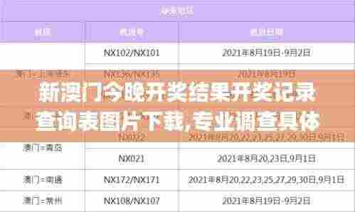 新澳门今晚开奖结果开奖记录查询表图片下载,专业调查具体解析_动感版PFU7.83