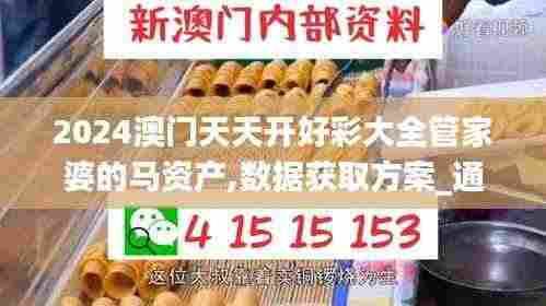 2024澳门天天开好彩大全管家婆的马资产,数据获取方案_通行证版ZZC7.27