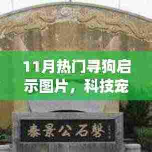 科技宠宝守护行动,全新智能寻狗启示图片APP 11月火热上线