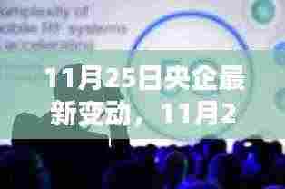 11月25日央企最新变动详解，全面评测与介绍