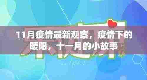 11月疫情下的暖阳，小故事见证希望之光