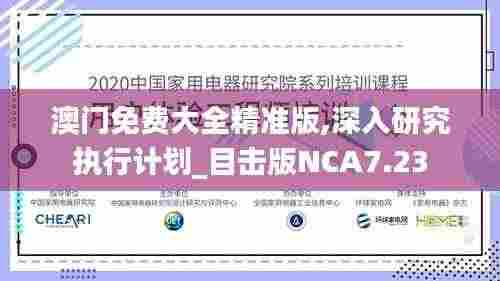 澳门免费大全精准版,深入研究执行计划_目击版NCA7.23