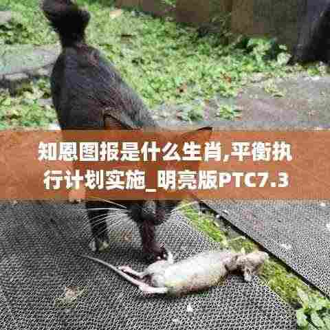 知恩图报是什么生肖,平衡执行计划实施_明亮版PTC7.3