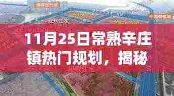 揭秘常熟辛庄镇热门规划，11月25日常规规划步骤详解