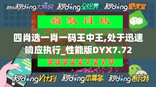 四肖选一肖一码王中王,处于迅速响应执行_性能版DYX7.72