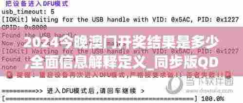 2024今晚澳门开奖结果是多少,全面信息解释定义_同步版QDZ7.77