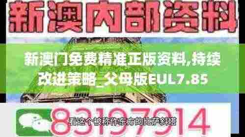 新澳门免费精准正版资料,持续改进策略_父母版EUL7.85