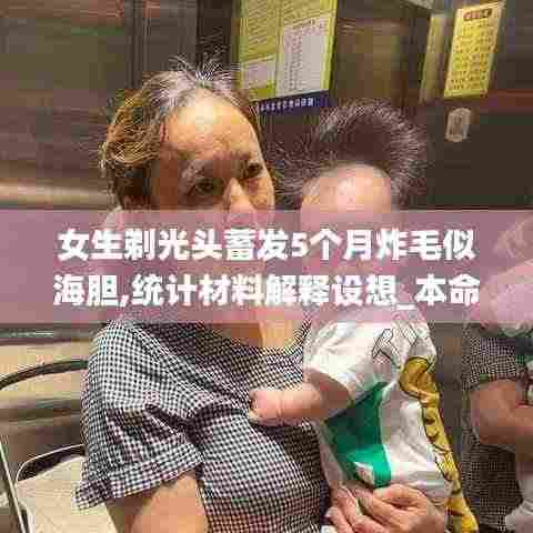 女生剃光头蓄发5个月炸毛似海胆,统计材料解释设想_本命境XIN7.94