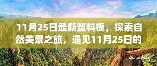 探索自然美景之旅，遇见塑料板奇迹，寻找内心的平和宁静——11月25日最新塑料板体验之旅