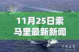 11月25日索马里最新新闻概览与步骤指南