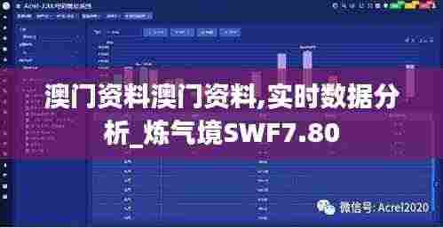 澳门资料澳门资料,实时数据分析_炼气境SWF7.80