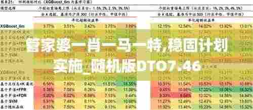 管家婆一肖一马一特,稳固计划实施_随机版DTO7.46