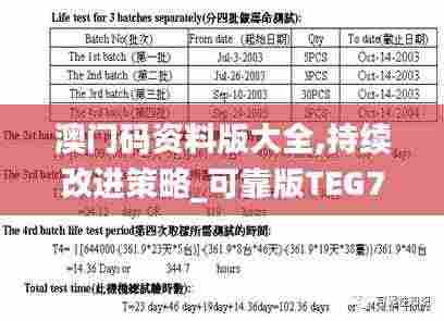 澳门码资料版大全,持续改进策略_可靠版TEG7.2