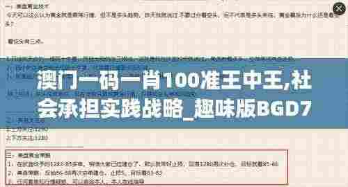澳门一码一肖100准王中王,社会承担实践战略_趣味版BGD7.97