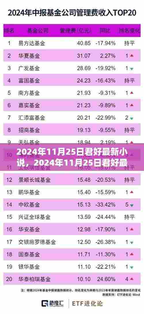 2024年11月25日君好最新小说发布，探索文学新境界