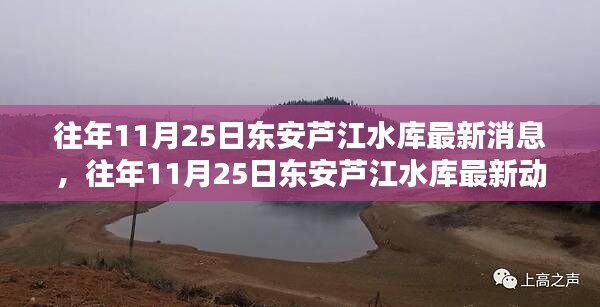 雍容华贵 第6页