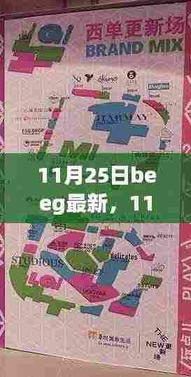 11月25日beeg最新，11月25日Beeg最新更新，深度探讨其影响及观点