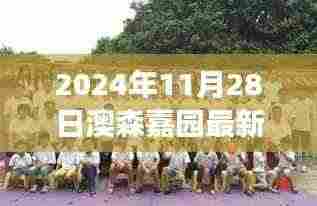 澳森嘉园蜕变日新动态，学习成就自我，2024年11月28日最新进展揭秘