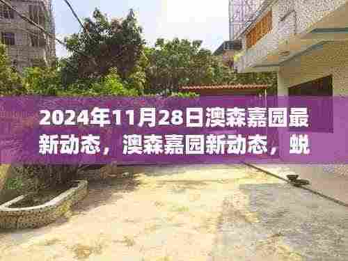 澳森嘉园蜕变日新动态,学习成就自我,2024年11月28日最新进展揭秘