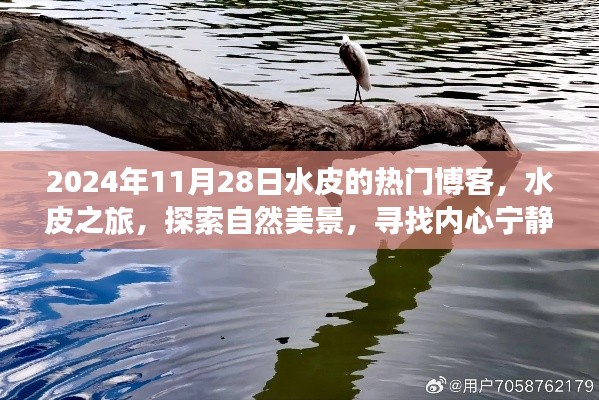 水皮之旅,探索自然美景,寻找内心宁静的博客日志(2024年11月28日)