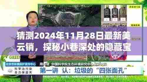 探秘美云销隐藏宝藏，小巷深处的特色小店，预测未来潮流新宠（2024年11月28日最新）