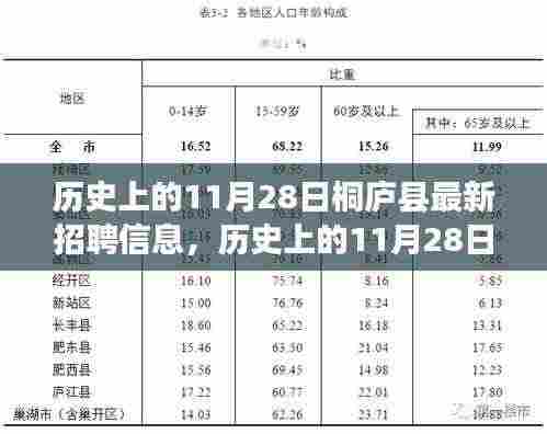 历史上的11月28日桐庐县最新招聘信息深度解析与观点阐述