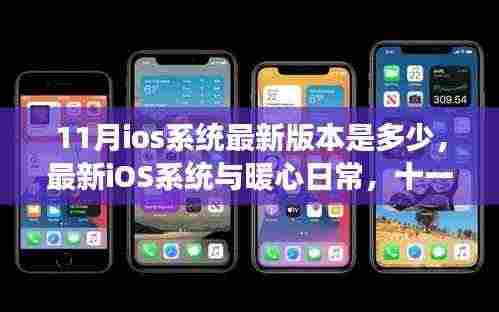十一月iOS系统升级之旅，暖心日常与最新版本的探索