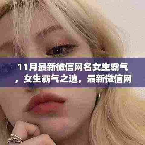 11月最新微信女生霸气网名深度评测与推荐