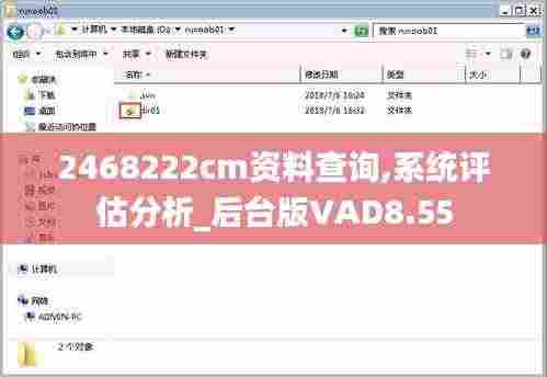2468222cm资料查询,系统评估分析_后台版VAD8.55
