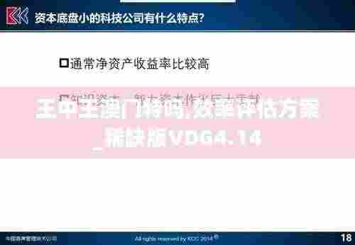 王中王澳门特吗,效率评估方案_稀缺版VDG4.14