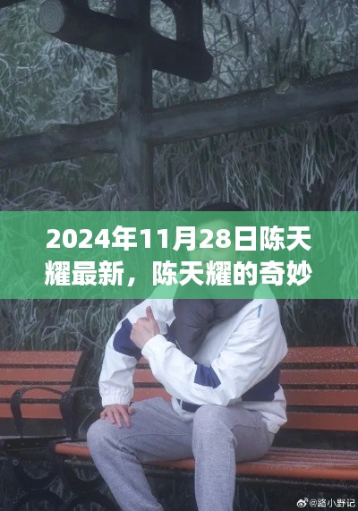 陈天耀的奇妙探险之旅,自然美景与内心宁静的双重探索(2024年11月28日最新)